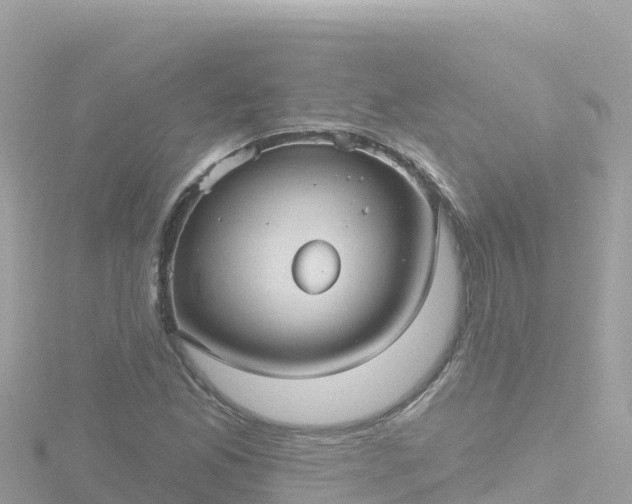 X0000116791165200912241156