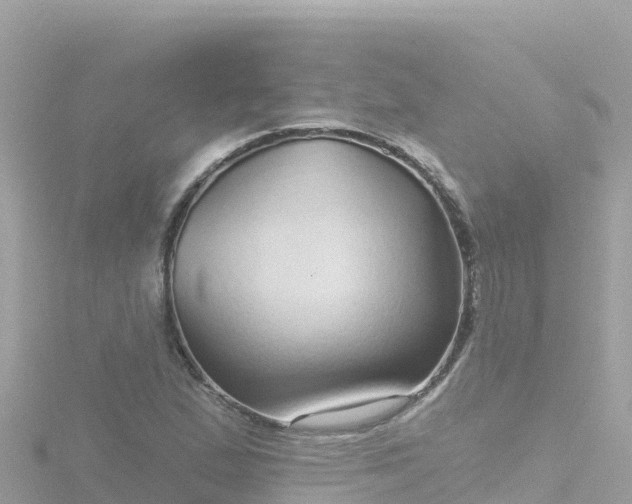 X0000116791167200912241156