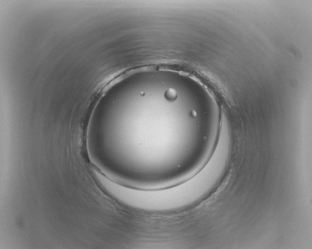 X0000116791169200912241156