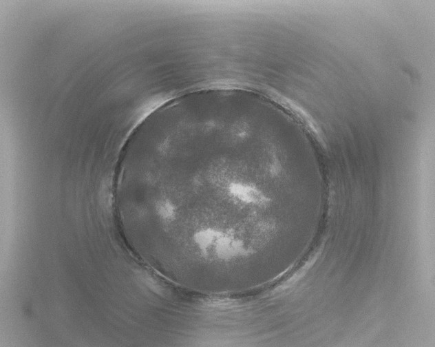 X0000116791170200912241156