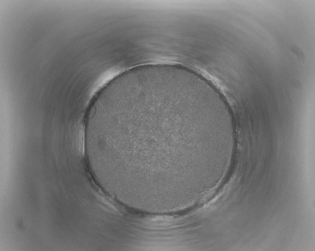 X0000116791171200912241156