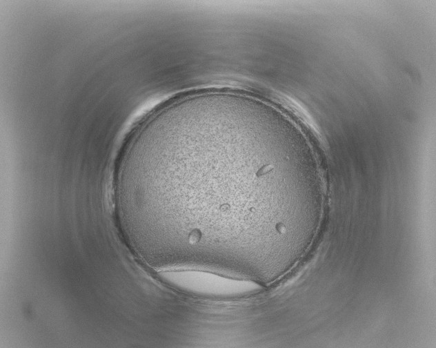 X0000116791172200912241156