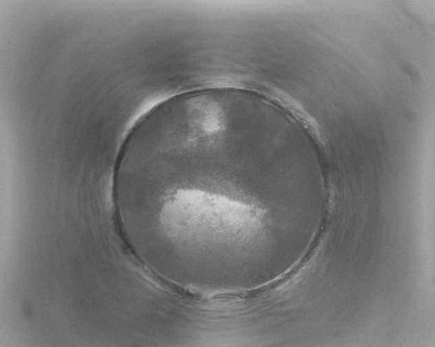 X0000116791174200912241156