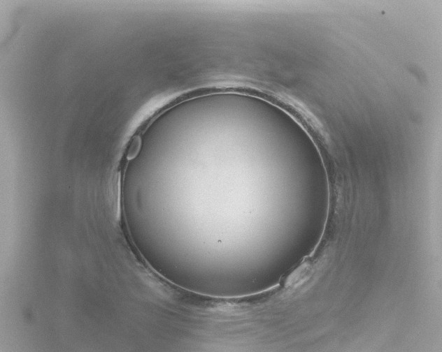 X0000116791175200912241156