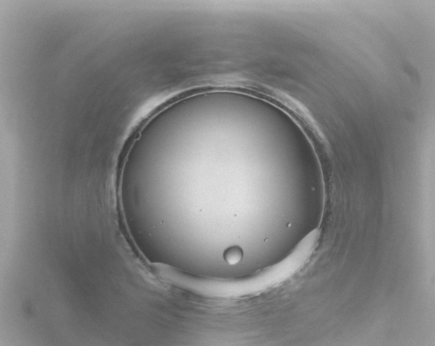 X0000116791176200912241156