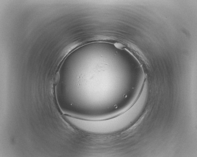 X0000116791177200912241156