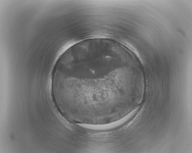 X0000116791179200912241156