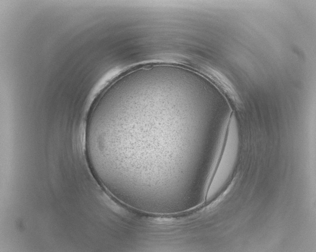 X0000116791180200912241156