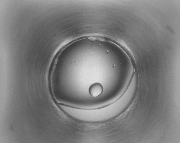 X0000116791181200912241156