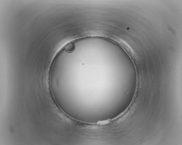 X0000116791182200912241156