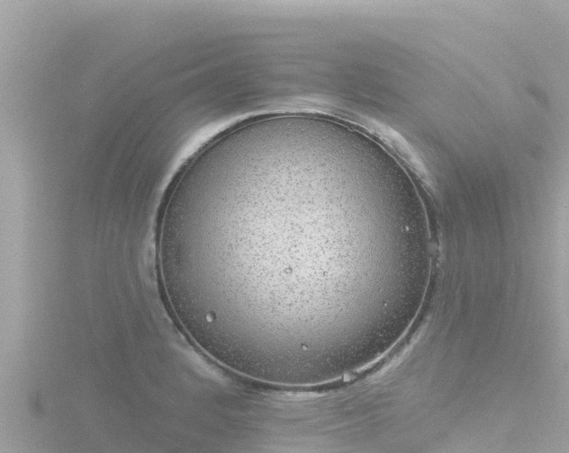 X0000116791184200912241156