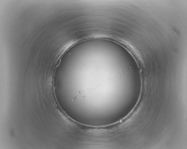 X0000116791185200912241156