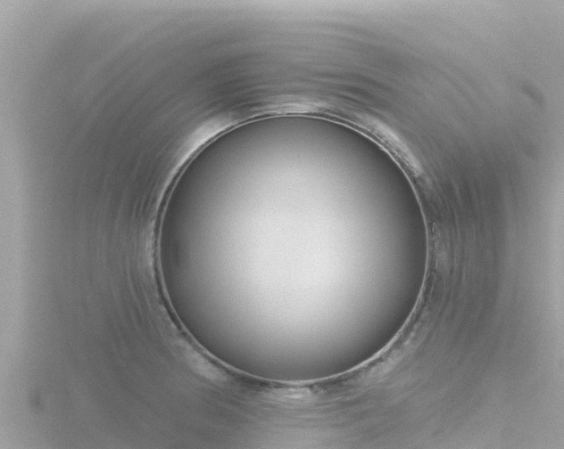 X0000116791186200912241156