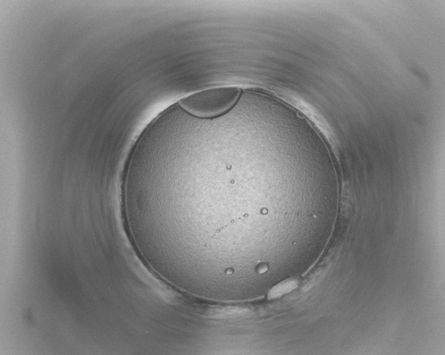 X0000116791187200912241156