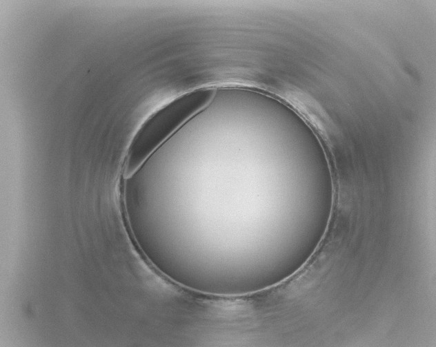 X0000116791189200912241156