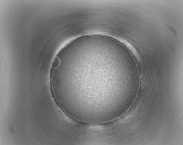 X0000116791191200912241156