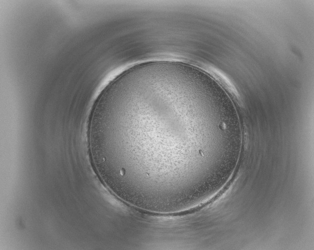 X0000116791192200912241156