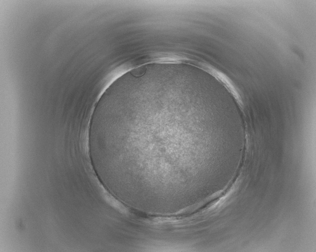 X0000116791194200912241156