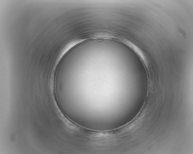 X0000116791195200912241156