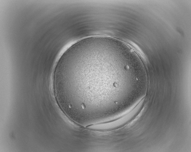 X0000116791196200912241156