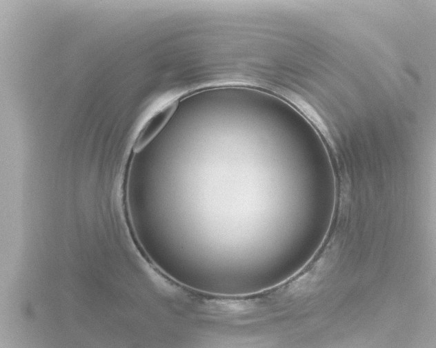 X0000116791197200912241156