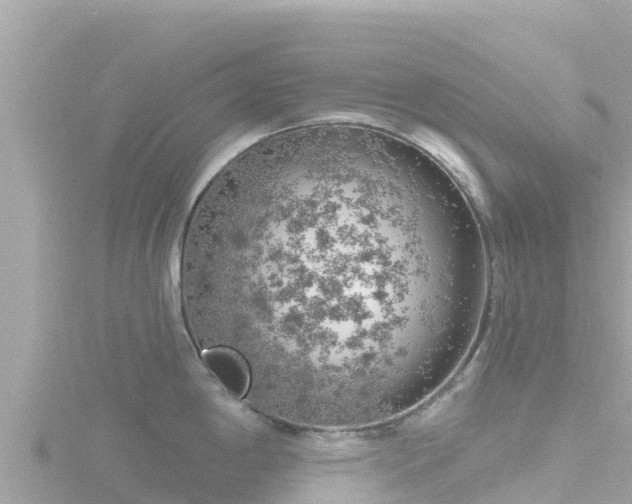 X0000116791198200912241156