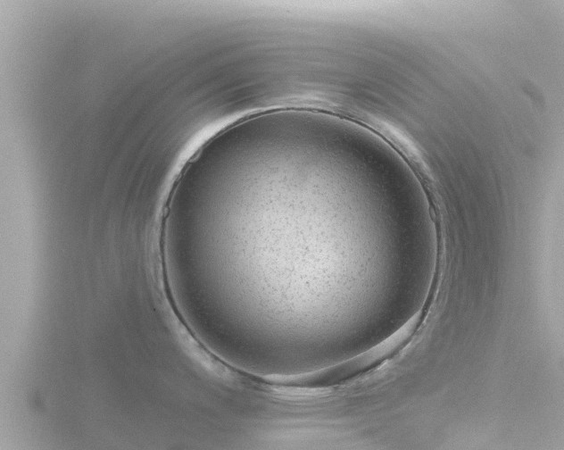 X0000116791200200912241156