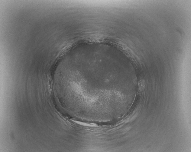 X0000116791202200912241155