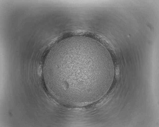 X0000116791204200912241155