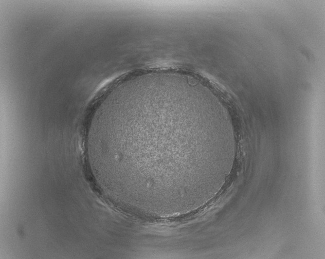 X0000116791206200912241155