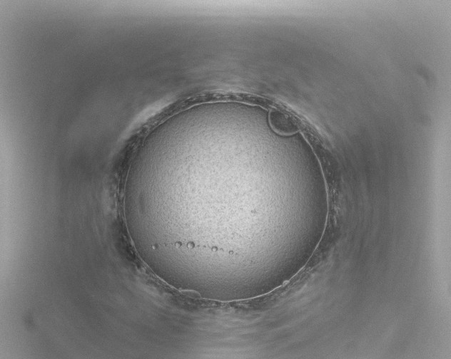 X0000116791207200912241155