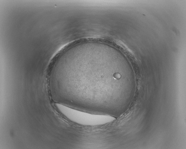 X0000116791208200912241155