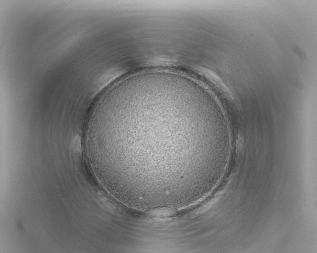 X0000116791209200912241155