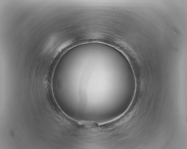 X0000116791210200912241155