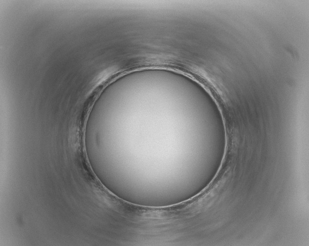 X0000116791211200912241155