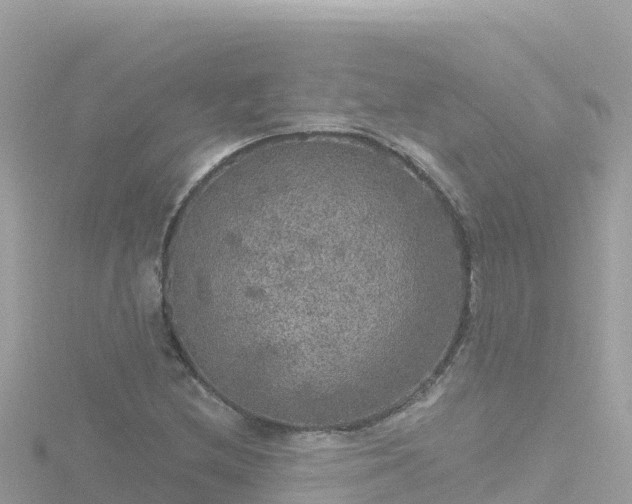 X0000116791212200912241155