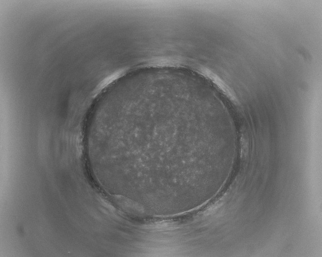 X0000116791213200912241155