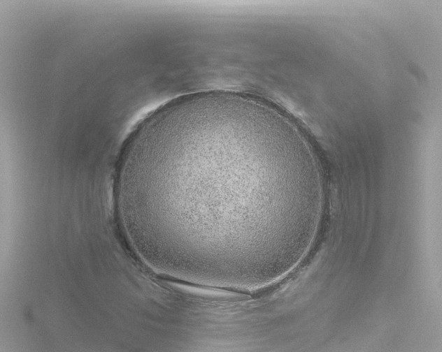 X0000116791214200912241155