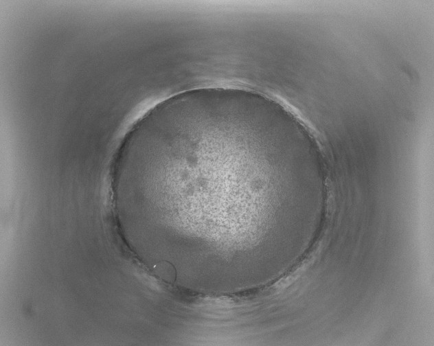 X0000116791215200912241155