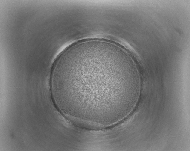 X0000116791216200912241155