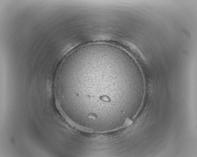 X0000116791217200912241155