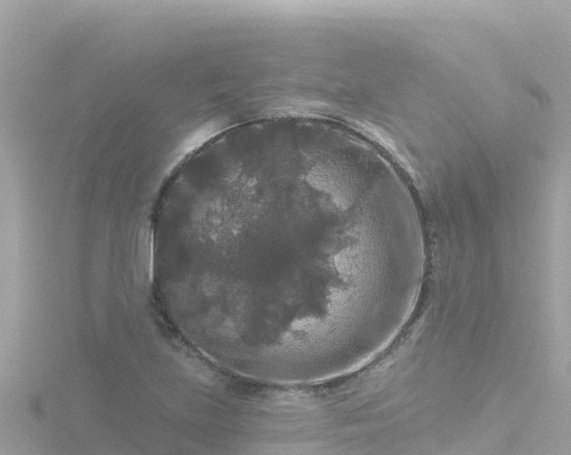 X0000116791219200912241155