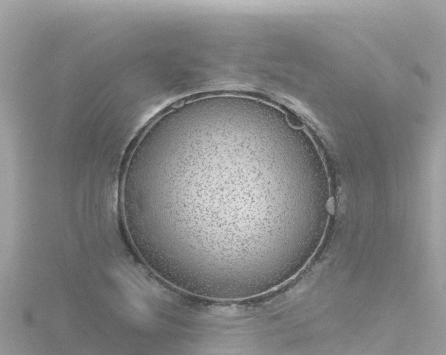 X0000116791220200912241155