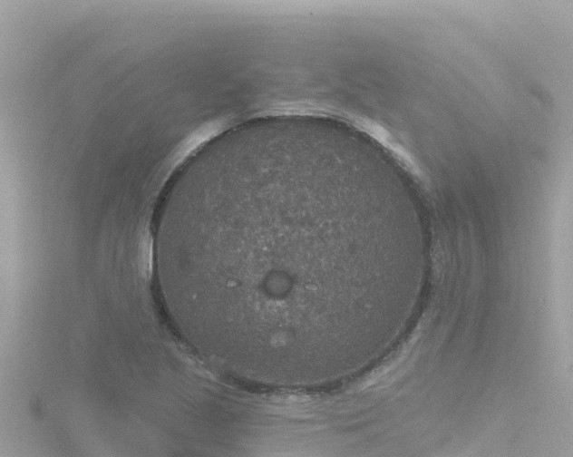 X0000116791221200912241155