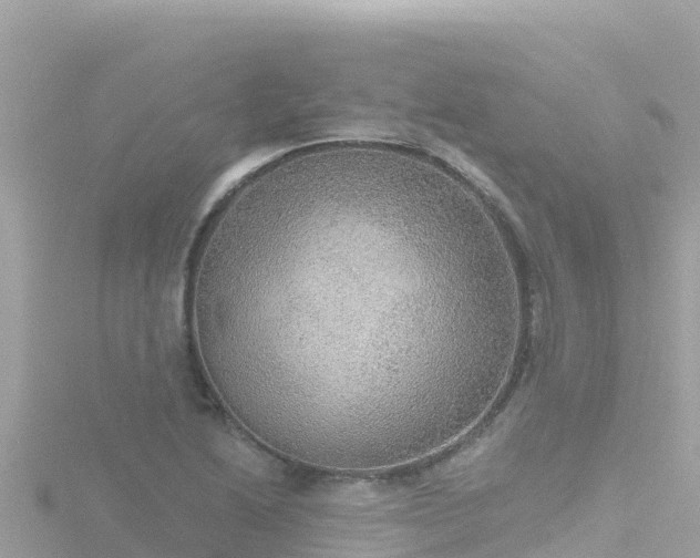 X0000116791222200912241155