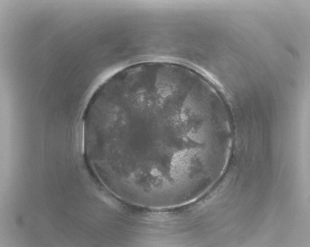 X0000116791223200912241155