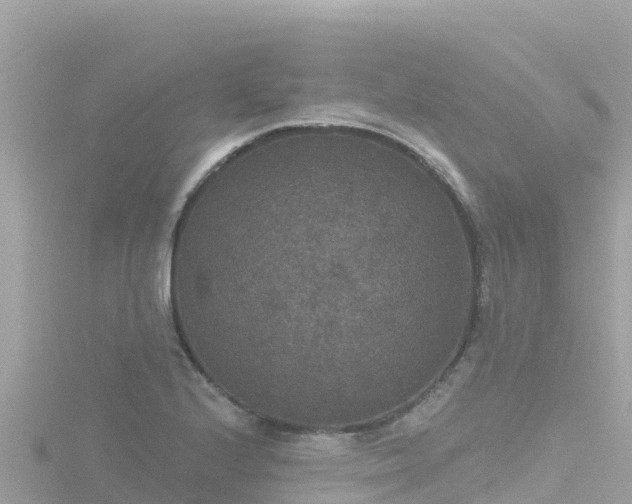 X0000116791224200912241155