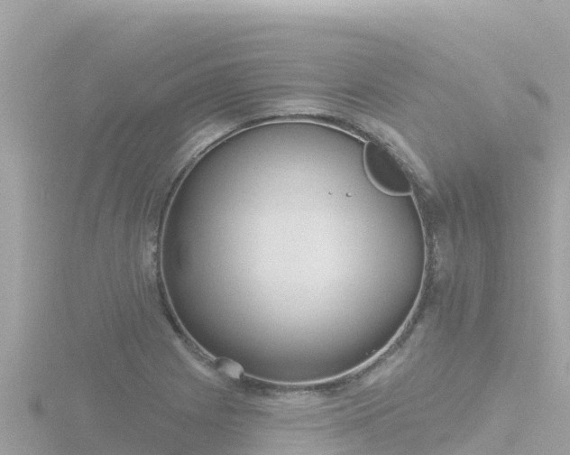 X0000116791225200912241155