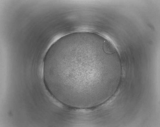 X0000116791227200912241155