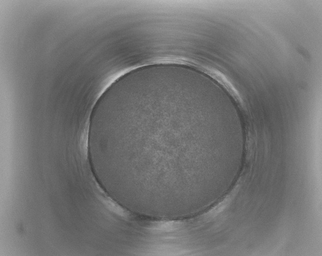 X0000116791228200912241155